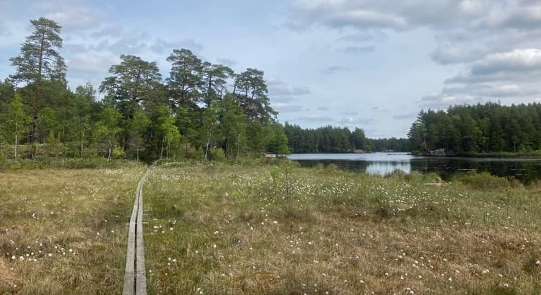 Trollkäringeskogen — hemsökt plats i Östergötland